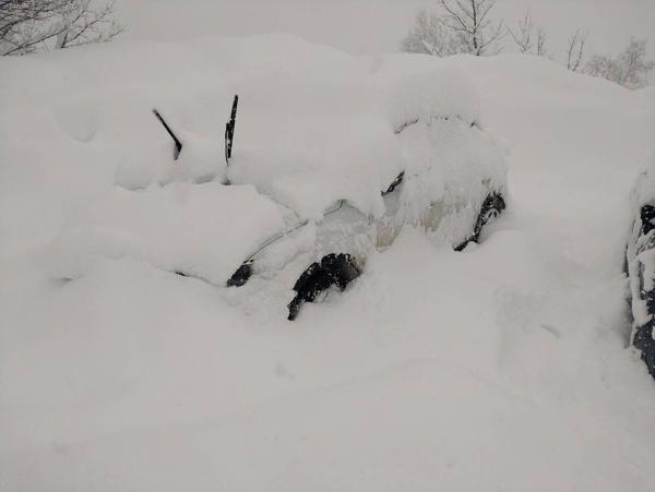 雪に埋もれる車.jpg